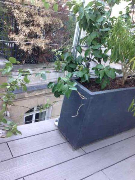 Aménagement de balcons en bois Paris