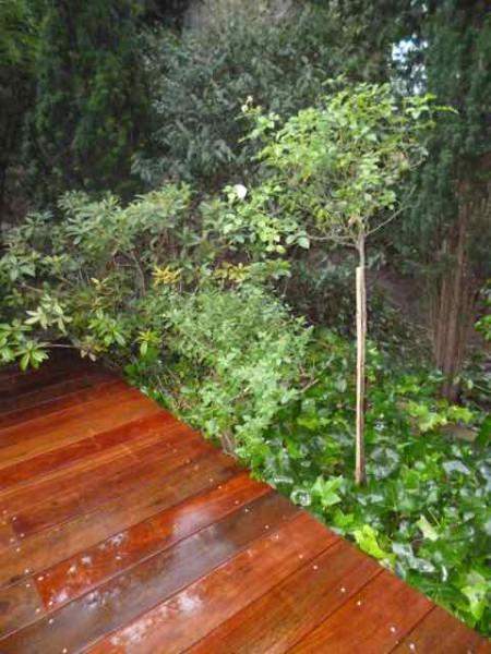 Entretien de terrasse en bois Paris