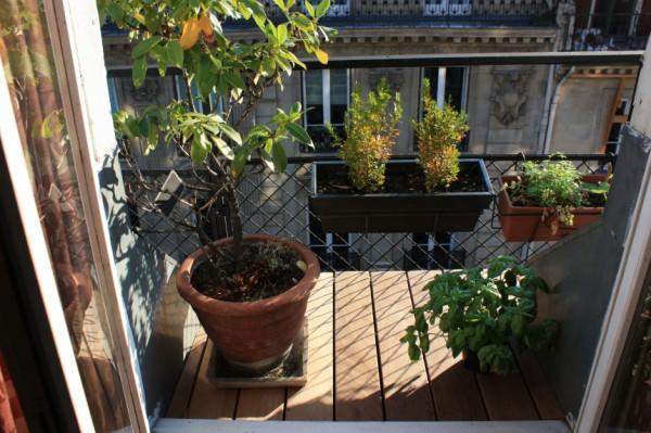 Fabrication de lames de terrasses en bois Paris
