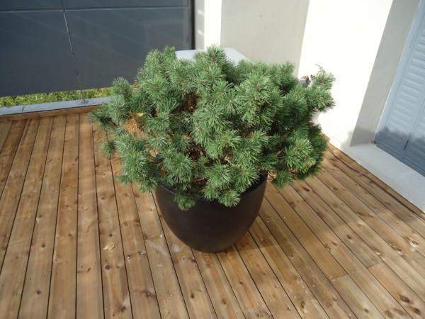 Tous travaux d’aménagement de balcons en bois à Paris